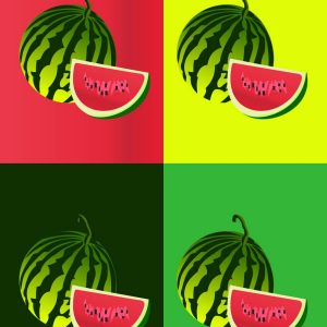 Home décor wall art poster watermelon